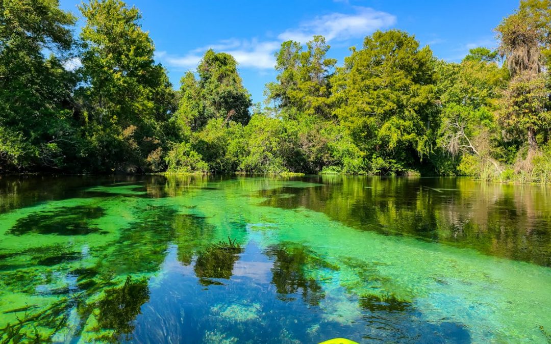 Senior Trip to Weekiwachee