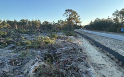 Clearing of the new Lot