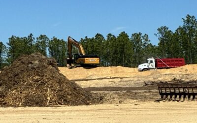 Removal of Land